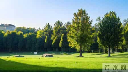 我靠“AI+”工资翻倍：亲身验证的三大工具与路径