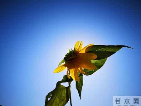 尽早告诉孩子：保护自己才是头等大事，认输投降不丢人