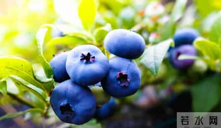 糖尿病最该戒掉的6种食物！经常吃会慢慢“拖垮血糖”，别不听劝