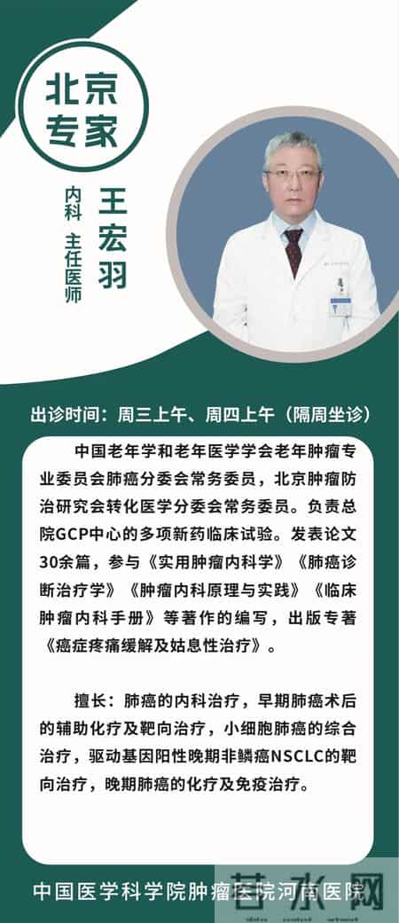 肿瘤诊疗“国家队”齐聚河南，周四义诊看这里