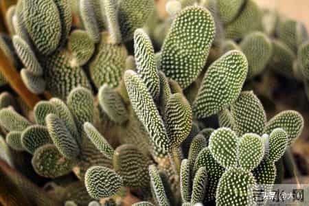 如果你到了六十，还在奔波打工，我想对你说几句真心话。