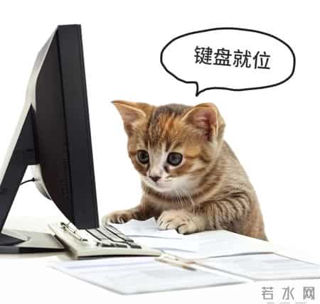 市妇联新媒体团队招人啦！就缺一个你！