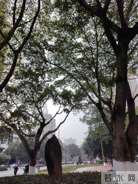 我退休5年，今年55岁，女人55岁有这6点欲望，是人生新的起点