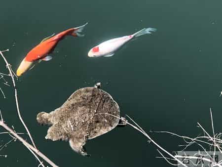 张晓磊情感爆款文章-和任何人相处，掌握这两招就够了！