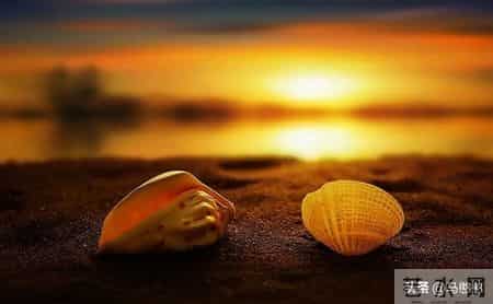 总被某些人耗尽精力，越讨厌越被操控？我做了个意外决定