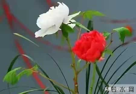 两性关系：单身老年人搭伙养老，一定要重视这几件事