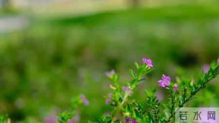 【我的退休故事】：退休后养成这三个习惯，余生日子越过越舒心