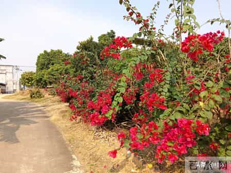 你有没有发现，孩子每到睡前就有说不完的话？