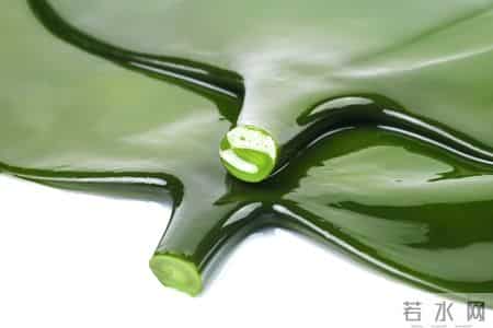 海带再次被关注！医生发现：胃酸反流患者常吃海带，或出现6改善