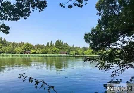 养出这样特征的孩子，才是父母的最大的福报，你就偷着乐吧！