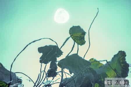 我52岁，退休后才发现：哪怕每月一两千的退休金，也是被人羡慕的