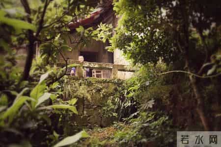 独居老人的顶级活法：不找伴、不进院，手里有钱，心里有光