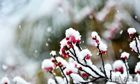 父母没钱，没背景，却有严格的家教，这种孩子的未来怎么样