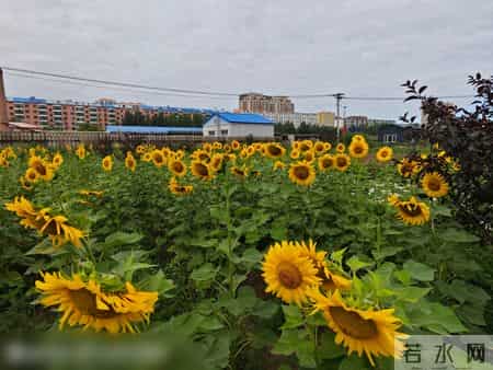 现在的小孩怎么越来越难管了？