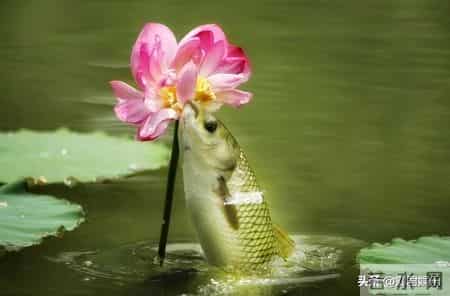 人过七十，最大的聪明是“薄情”：哪怕亲戚再亲，也不要主动