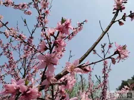 惊人的母子定律：原来母亲的样子，决定了孩子的一生