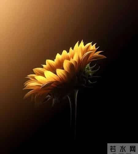 机遇和人生，是命运的转折点，也是不一样的风景线