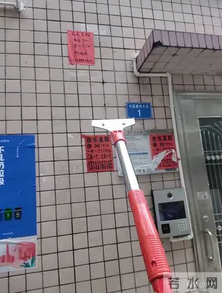 一学期关掉30所！幼儿园“关停潮”蔓延，幼师转行送外卖真相扎心