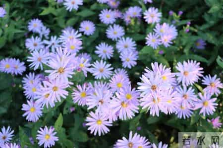 父母别再自我感动了：子女有这4个细节，其实是没把你放在心上