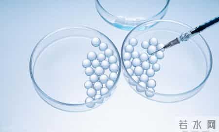 2026年，生殖器疱疹新药进展大盘点！哪些有望快速上市？