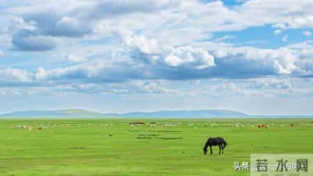 别等老了才明白！孩子有没有孝心，10岁前就能看出来！