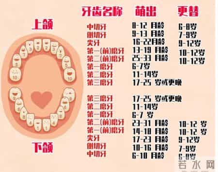 宝宝出牙晚？别急着补钙，找准原因才是关键
