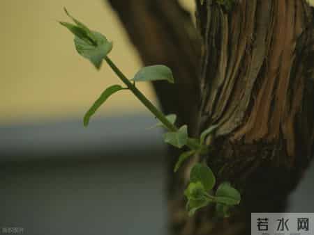 底层逆袭的人都明白：让你付出少回报大的三条铁律