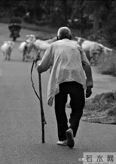 家里有金山银山，不如养出一个"顶梁柱"