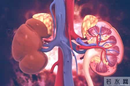 医生提醒：肾衰竭早期不是腰痛，而是身体出现5种异常，一定留意