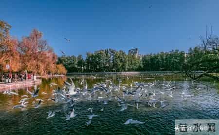 “老而不死是为贼”：多半处于这三种状态的老年人，会害了下一代