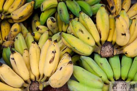 胃病新发现！调查证实：及时补足4类营养，肠胃很难恶化，要了解