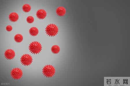 鲈鱼立大功！研究发现：肾衰竭患者常吃鲈鱼，或有 3 大好处