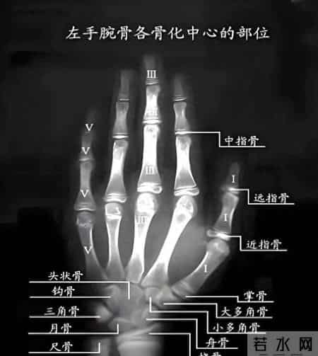 测骨龄的最佳时期只有12年，尤其是这6类孩子，家长需要高密监测