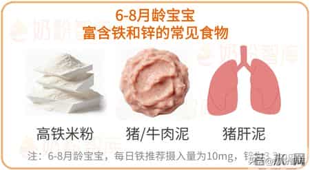 6~36月龄宝宝辅食添加攻略：营养重点、食材选择…每个月都不同
