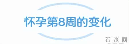 我可能怀孕了吗？怀孕第2个月会有哪些变化以及应该注意什么？