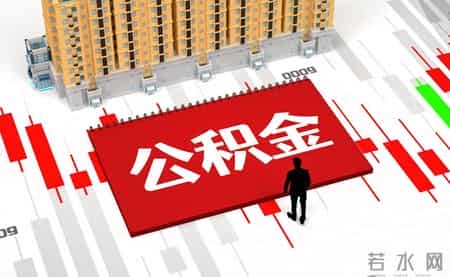 收入其实是到手工资加上公积金对吗？