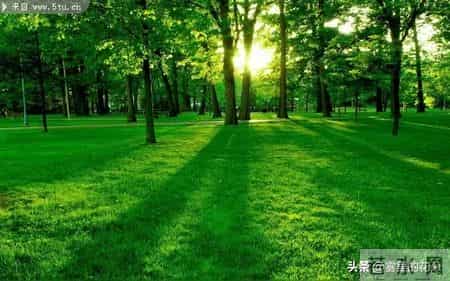 老了才明白：兜里揣好2样东西，比儿女孝顺更靠谱