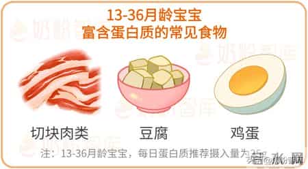 6~36月龄宝宝辅食添加攻略：营养重点、食材选择…每个月都不同