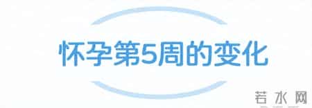 我可能怀孕了吗？怀孕第2个月会有哪些变化以及应该注意什么？