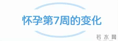 我可能怀孕了吗？怀孕第2个月会有哪些变化以及应该注意什么？