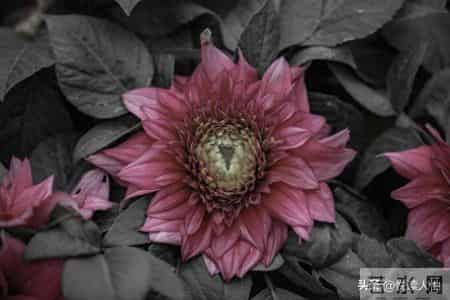 老人三道生死坎，熬过便是百岁人！不是73、84，而是这三个关键年