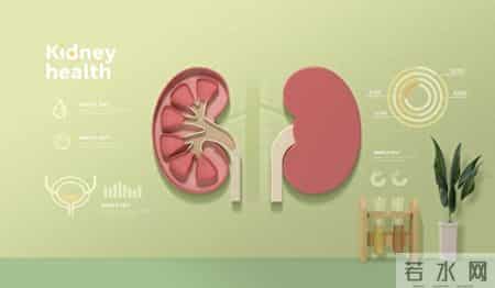 肾衰宁颗粒真管用！护肾调代谢，3种慢性肾病对症用，一文讲透