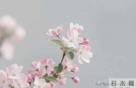 聪明父母从不对外人提子女的这3件事，这是远见