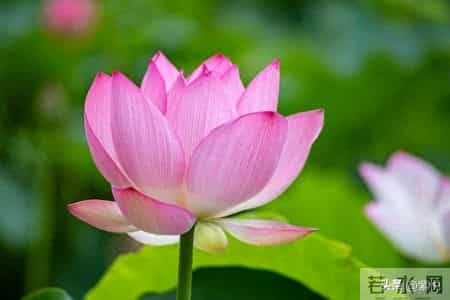 人到中年，最好的活法是不解释