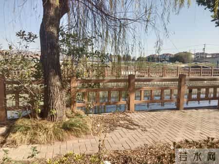 人到晚年才醒悟，跟家里兄弟姐妹断亲，是一生中最大的错误