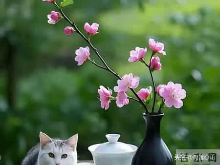 做事不需要人人都理解，做人不需要人人都喜欢