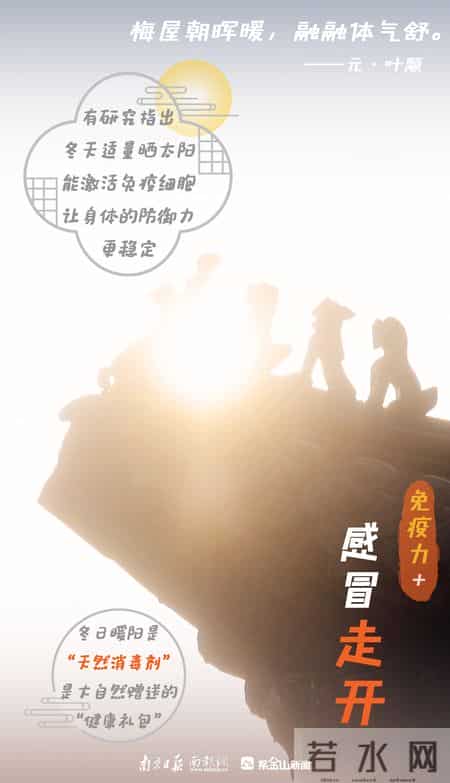 晒太阳可是“正经事”！冬日阳光“快充”指南→