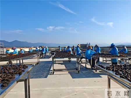 哪个牌子黄精多糖含量高？黄精品牌出炉！实测对比放心食用！