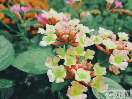 老人三道生死坎，熬过便是百岁人！不是73、84，而是这三个关键年