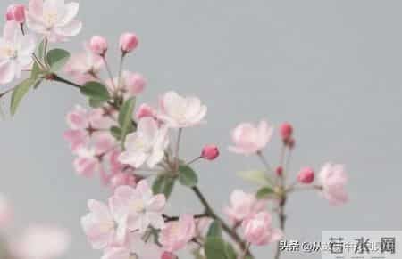 聪明父母从不对外人提子女的这3件事，这是远见